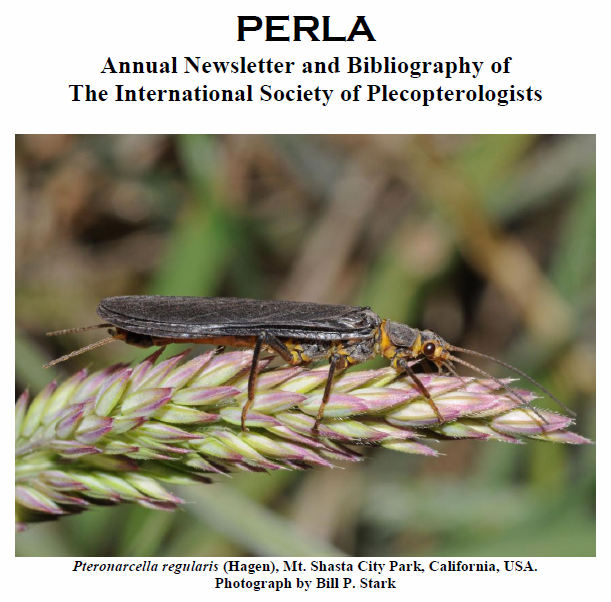 PERLA Annual Newsletter, No. 28, 2010